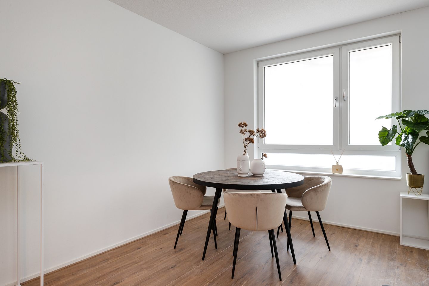 Foto 11 van Yours - Callisto