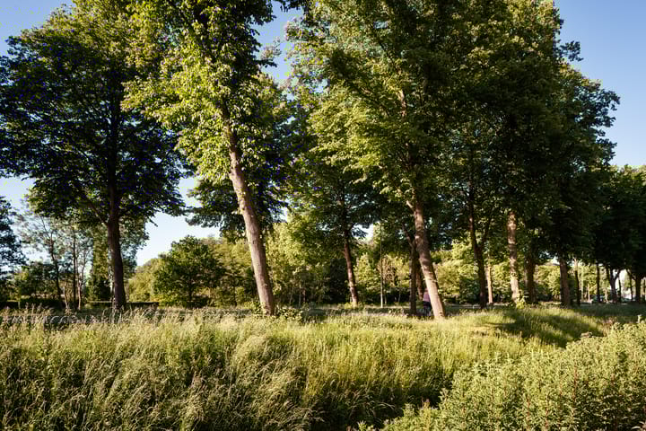 Foto 17 van Yours - Callisto