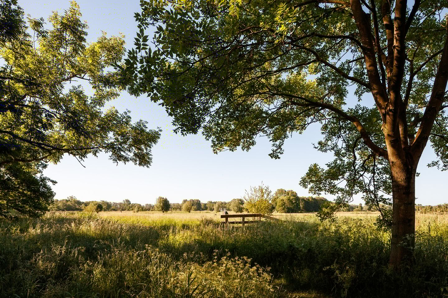 Foto 20 van Yours - Callisto