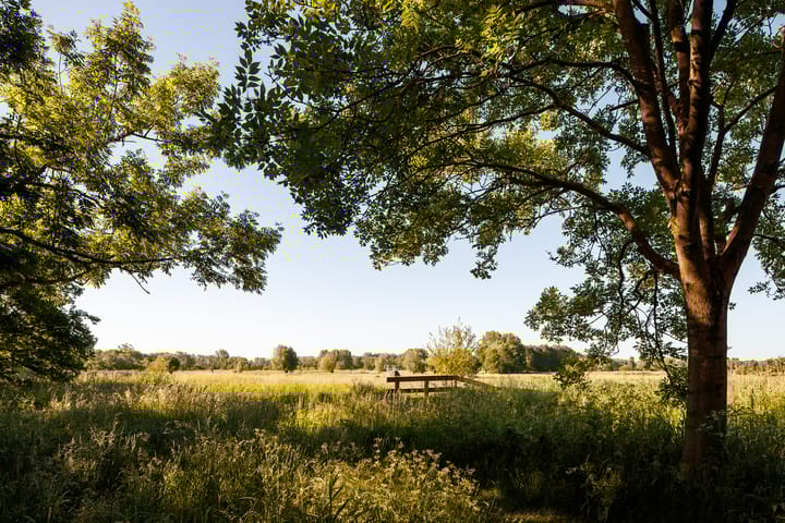 Foto 20 van Yours - Callisto