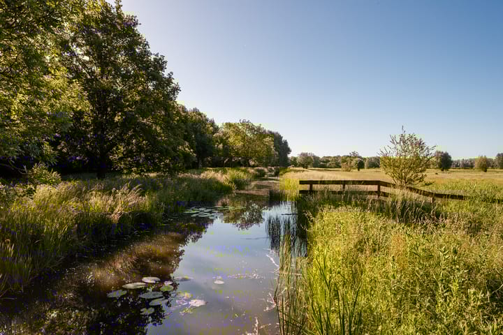 Foto 22 van Yours - Callisto