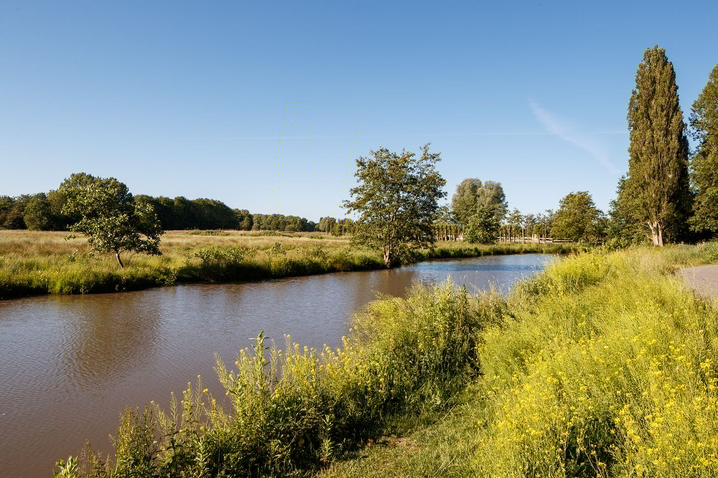 Foto 21 van Yours - Callisto