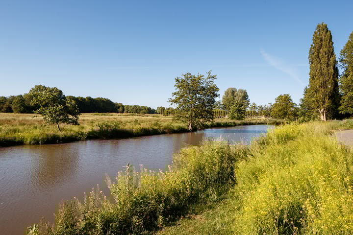 Foto 21 van Yours - Callisto