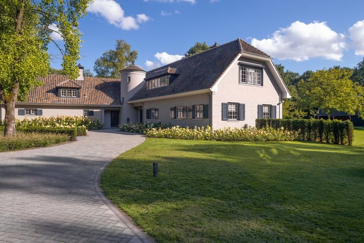 Foto 51 van Eendekooi 12