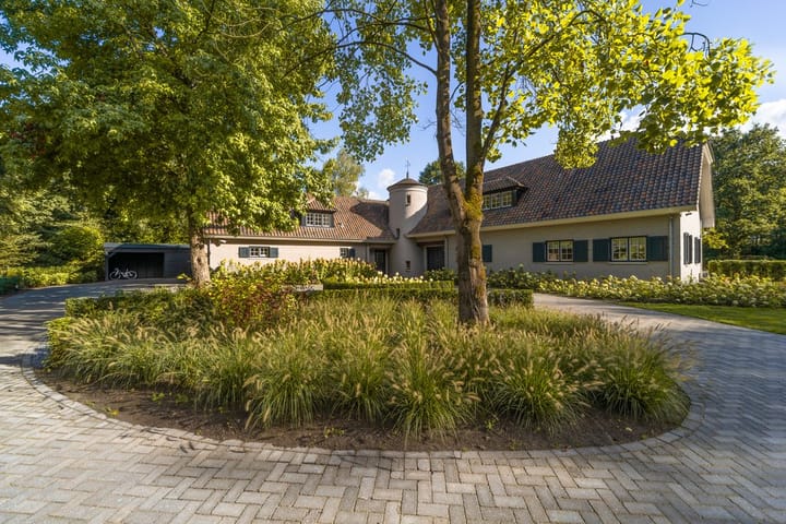 Foto 53 van Eendekooi 12