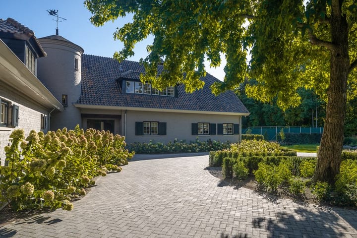 Foto 52 van Eendekooi 12