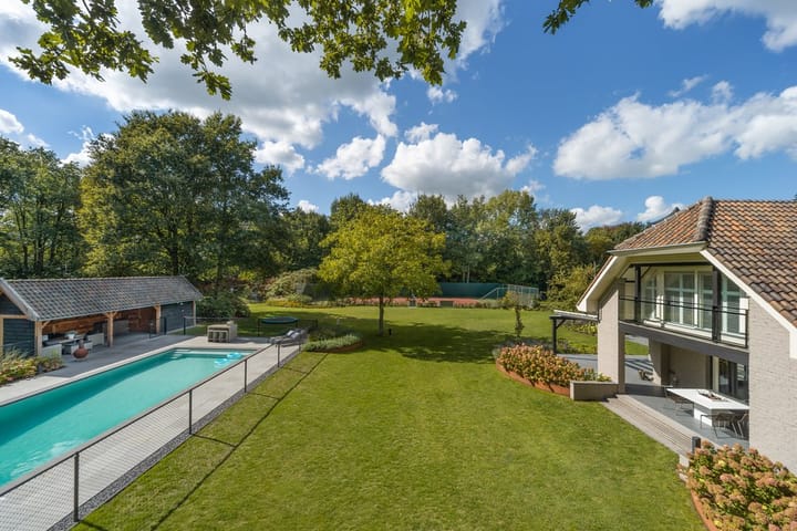 Foto 45 van Eendekooi 12