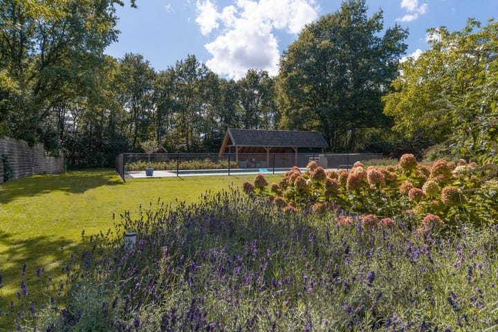 Foto 48 van Eendekooi 12