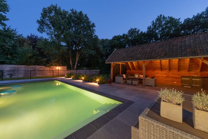 Foto 61 van Eendekooi 12