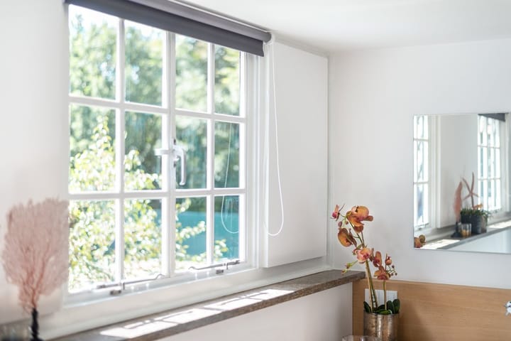 Foto 82 van Eendekooi 12