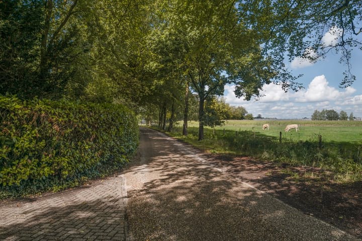 Foto 80 van Eendekooi 12