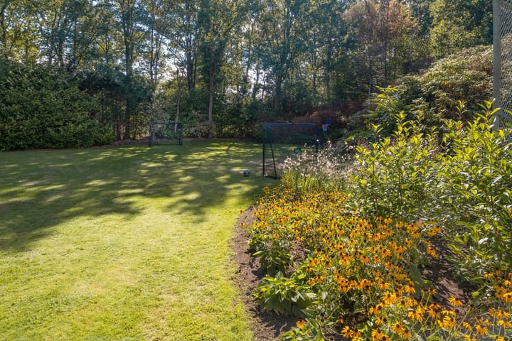 Foto 92 van Eendekooi 12