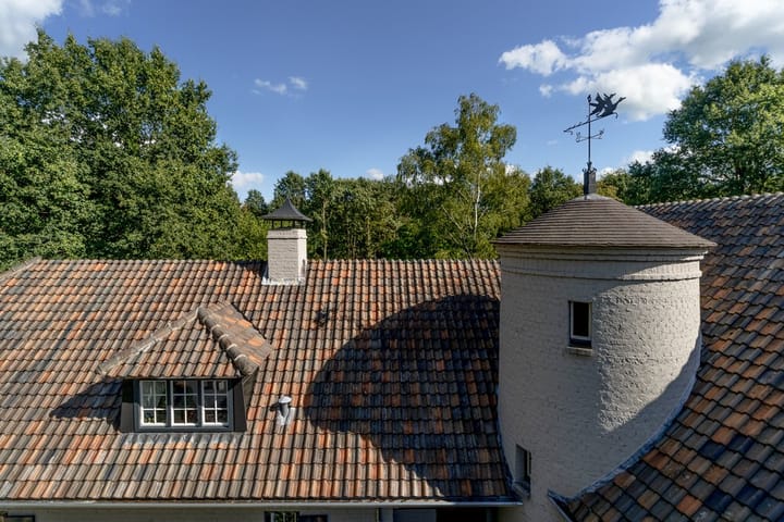 Foto 91 van Eendekooi 12