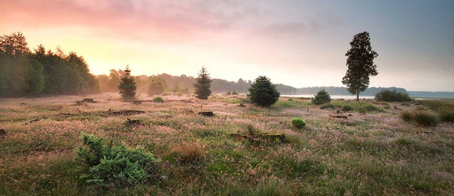 Foto 15 van Oshaarseweg 24-75