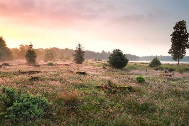 Bekijk foto 17 van Oshaarseweg 24-75