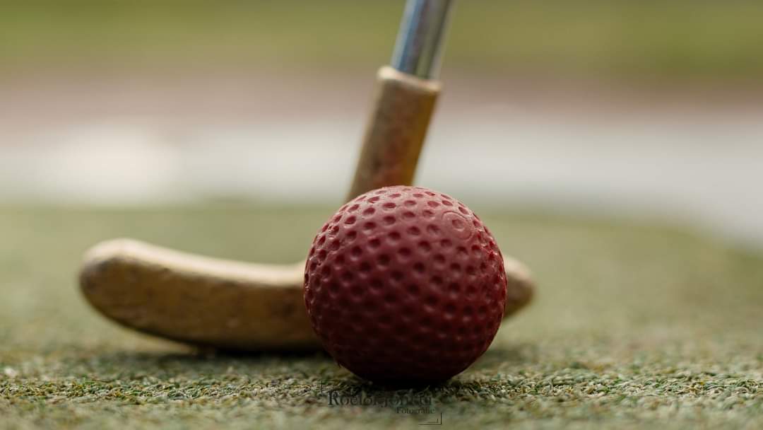 Foto 11 van Oshaarseweg 24-75