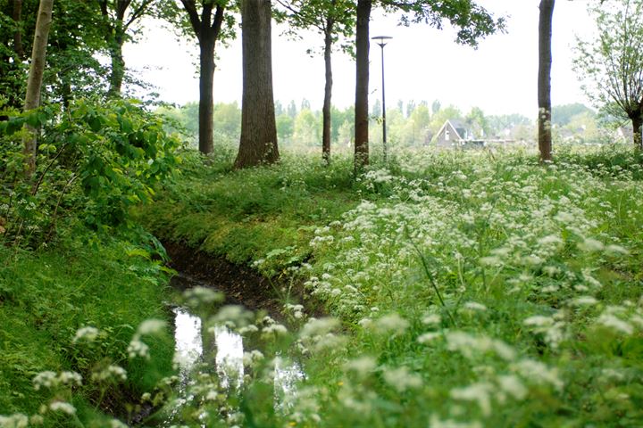 Bekijk foto 7 van De Scheifelaar - Landelijk Wonen - De Laan (Bouwnr. 2.)