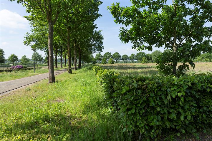 Bekijk foto 8 van De Scheifelaar - Landelijk Wonen - De Laan (Bouwnr. 2.)