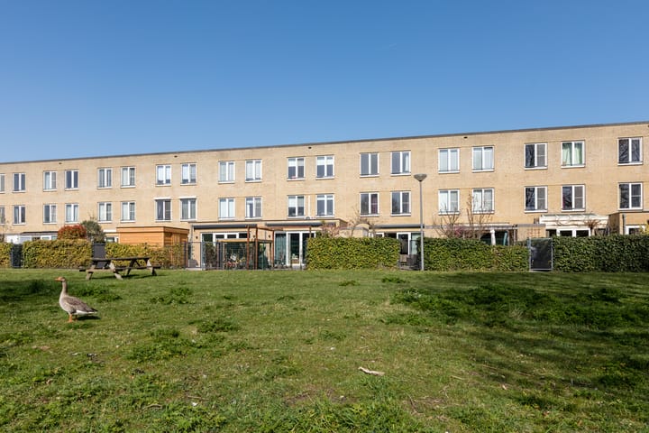 Foto 38 van Dosiostraat 182