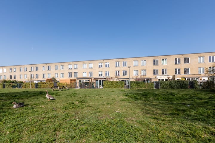 Foto 39 van Dosiostraat 182