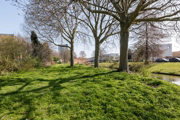 Foto 40 van Dosiostraat 182