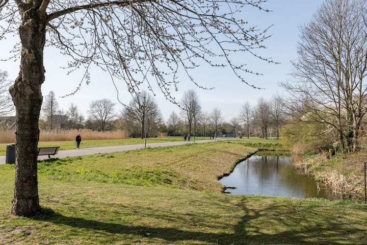 Foto 42 van Dosiostraat 182