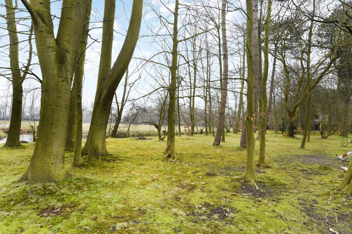 Foto 49 van Paauwlaan 7