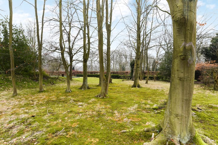 Foto 48 van Paauwlaan 7