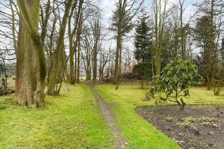 Foto 50 van Paauwlaan 7