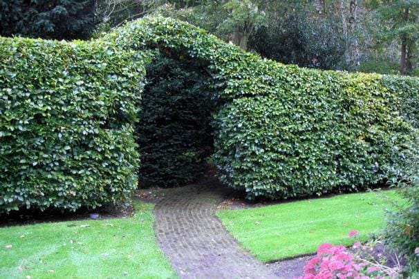 Foto 8 van Paauwlaan 3-5 EN 7