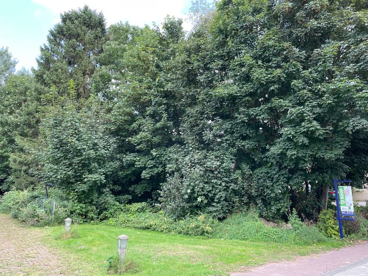 Photo 3 of Kanaal A nz