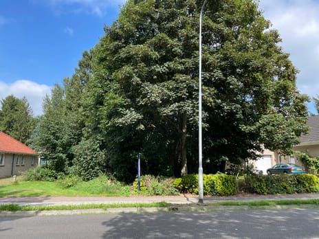 undefined main image