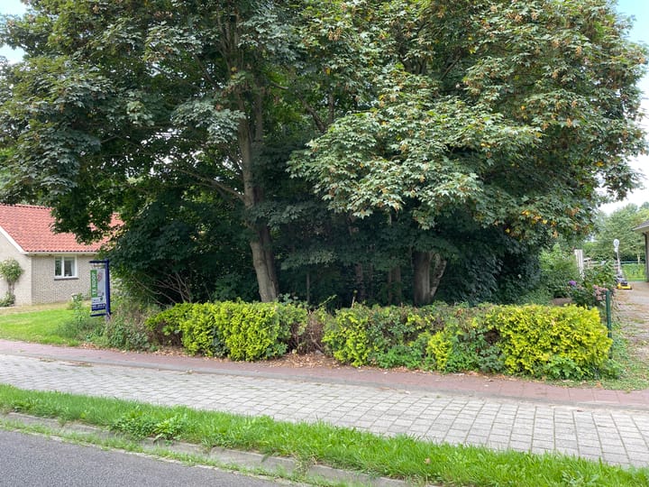 Photo 2 of Kanaal A nz