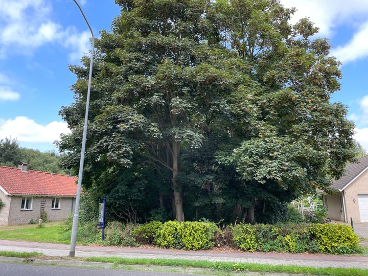 Photo 4 of Kanaal A nz