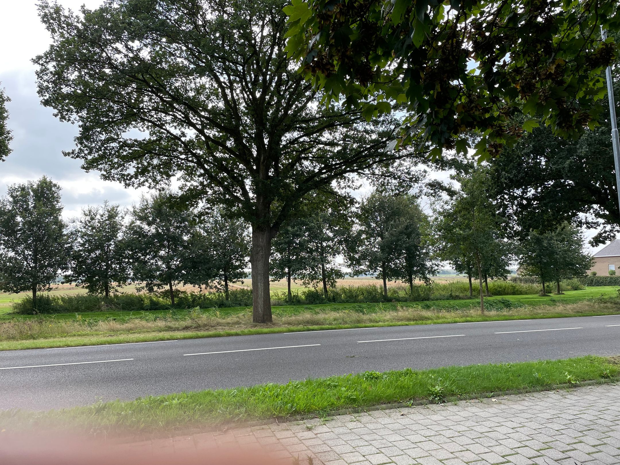 Foto 6 van Kanaal A nz