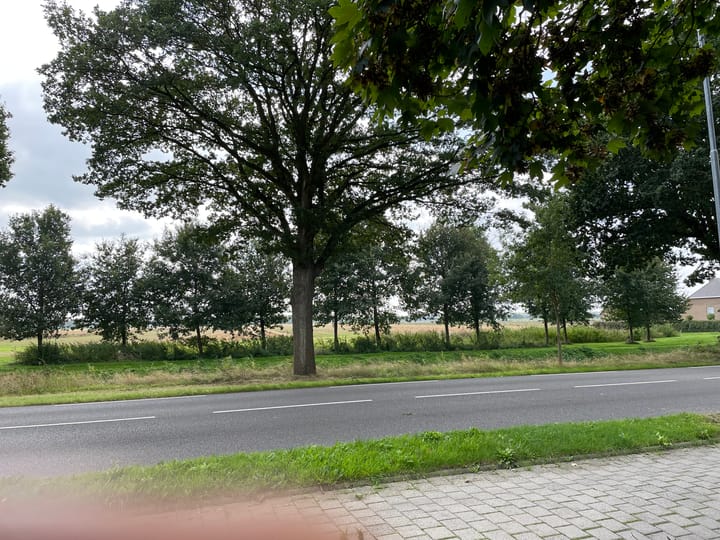 Photo 6 of Kanaal A nz