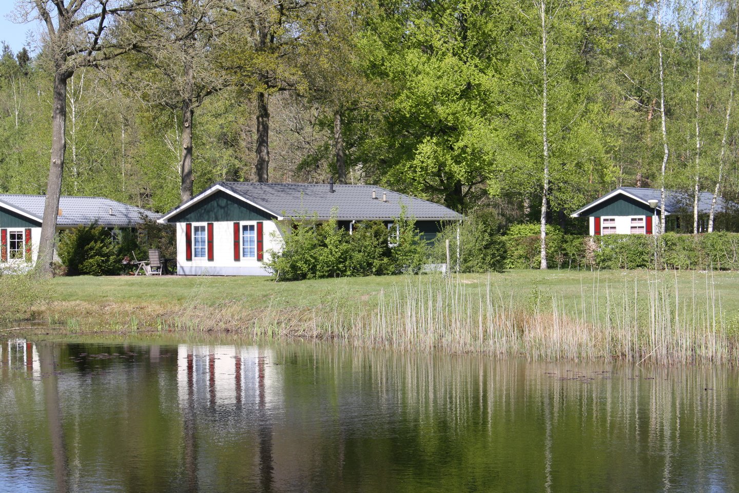 Bekijk foto 1 van Haersolteweg 17 235