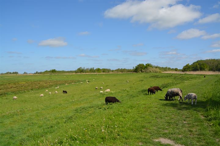 View photo 11 of Botsholsedwarsweg 5