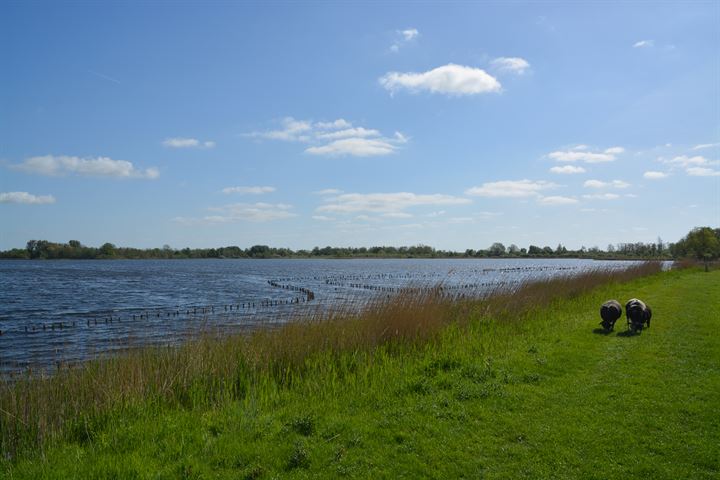 View photo 42 of Botsholsedwarsweg 5