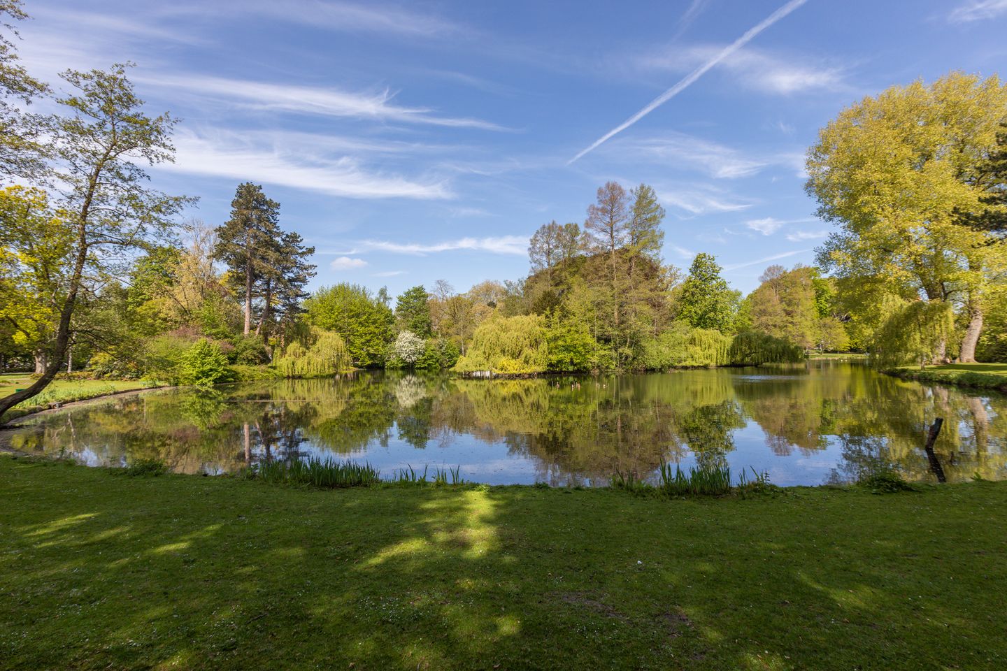 Foto 55 van Prins Hendriklaan 95