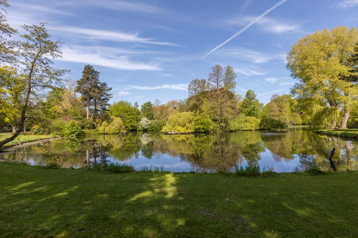 Foto 55 van Prins Hendriklaan 95