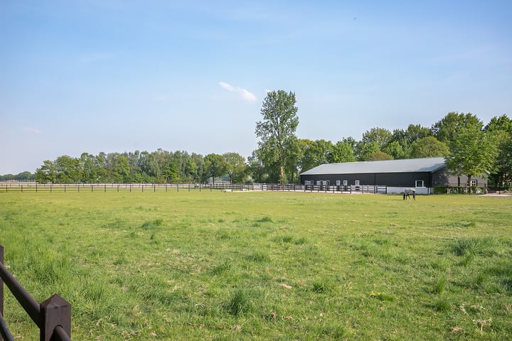 View photo 8 of Zwarteweg 52