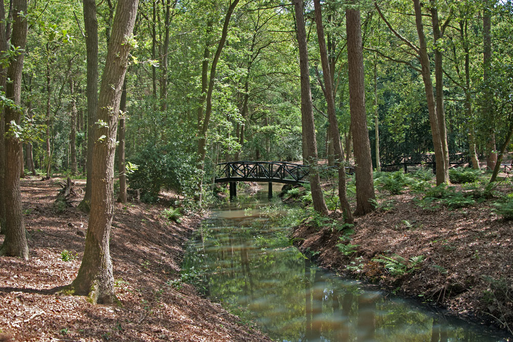 Bekijk foto 4 van Molenbosch 26