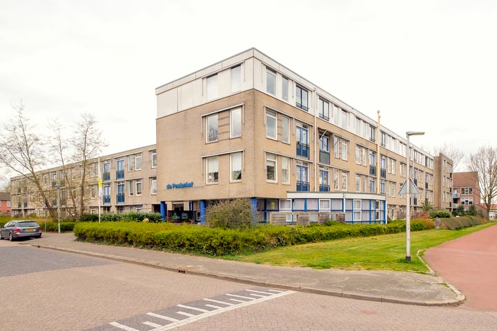 Walakker 53