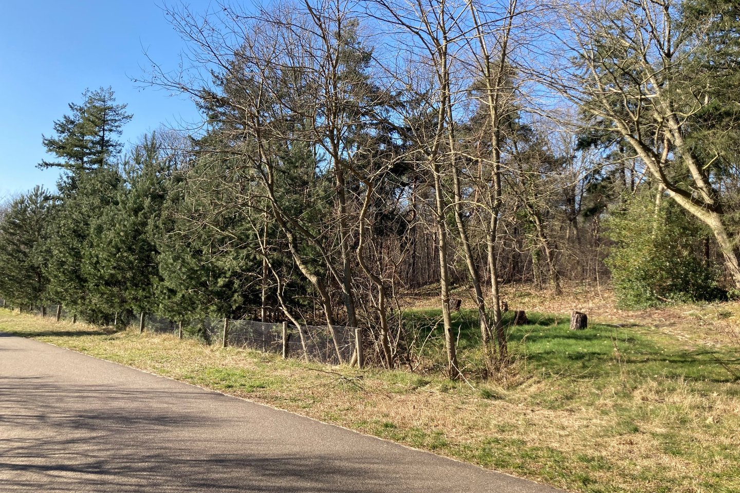 Bekijk foto 4 van Graafsebaan 162