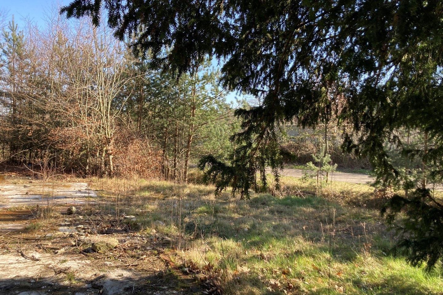 Bekijk foto 2 van Graafsebaan 162