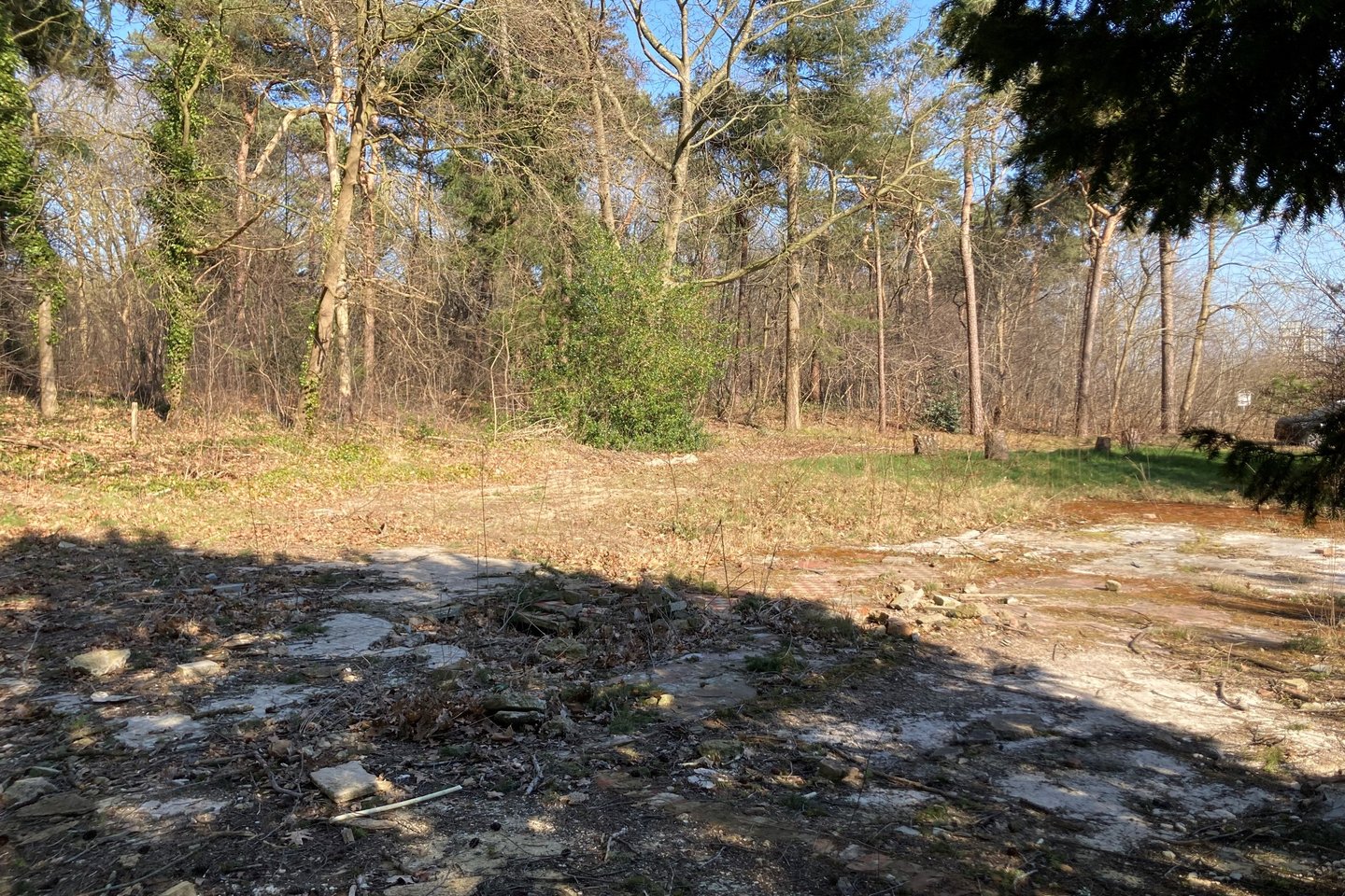 Bekijk foto 3 van Graafsebaan 162