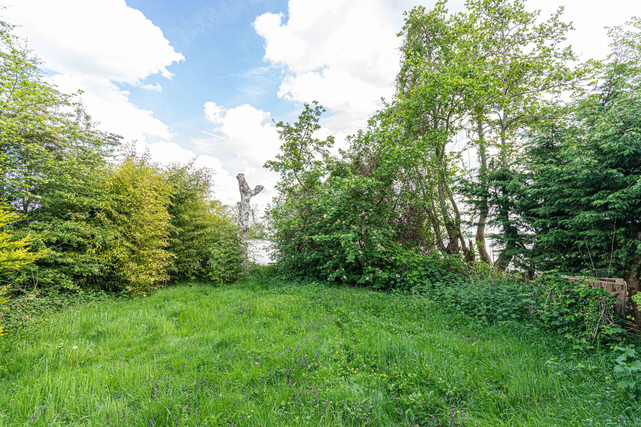 Foto 9 van Klein Elfhoeven eiland