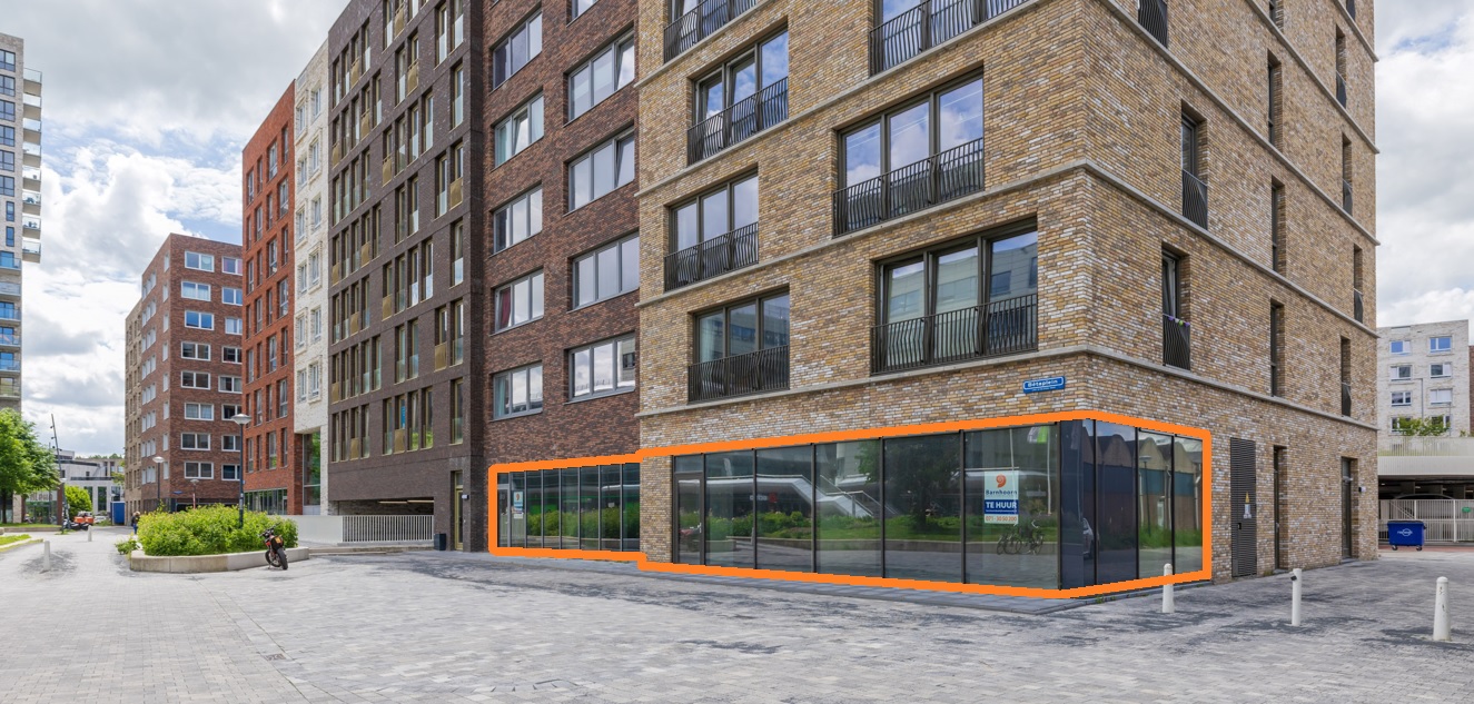 Bekijk foto 1 van Bètaplein 313-315