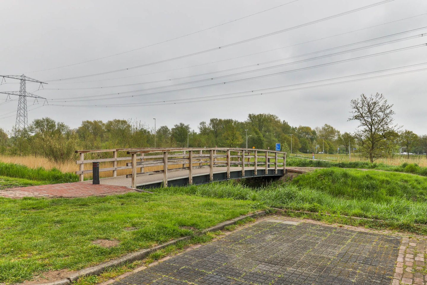 Bekijk foto 2 van Regenwulp 6